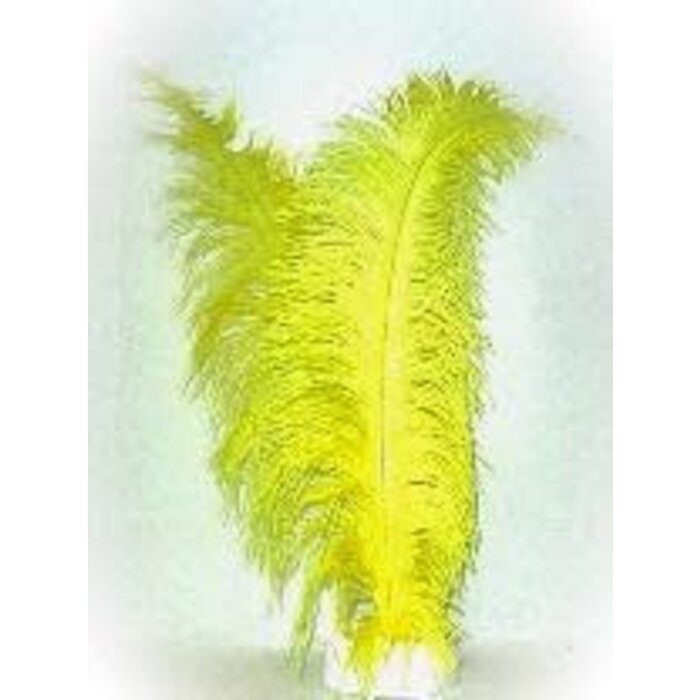 Feestshop.be Veer struisvogel spadonis geel 50cm