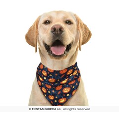 Feestshop.be Halloween sjaal pompoen hond