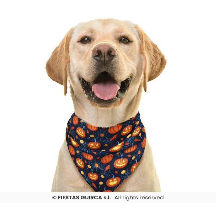 Feestshop.be Halloween sjaal pompoen hond