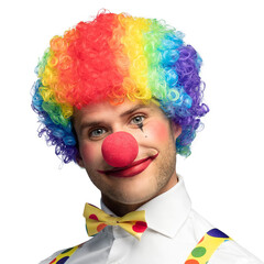 Pruik Clown Curly veelkleurig