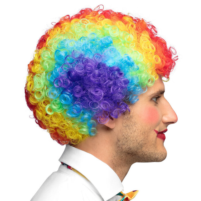 Pruik Clown Curly veelkleurig