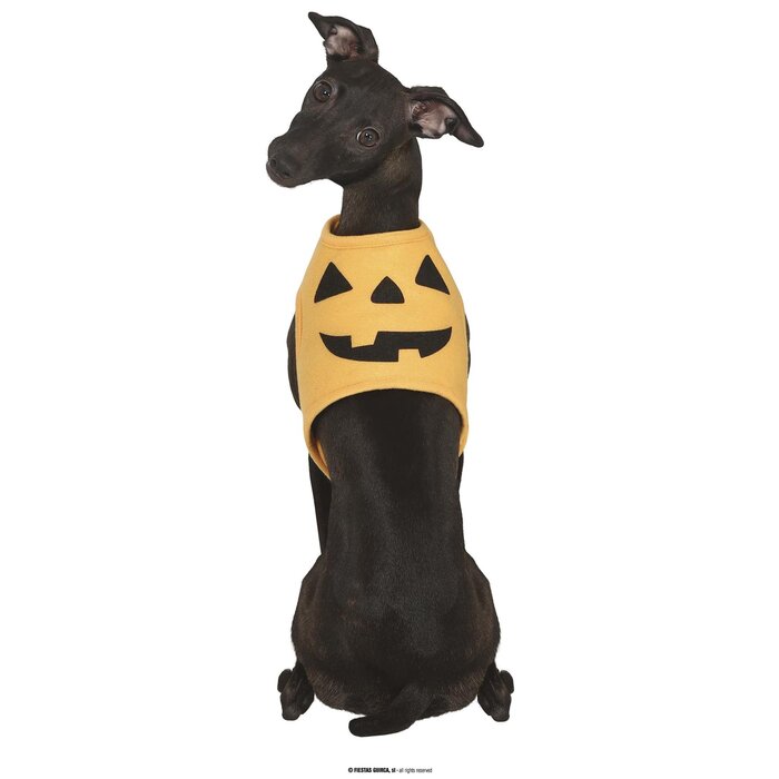 Fiestas Guirca Pompoen verkleedkostuum hond