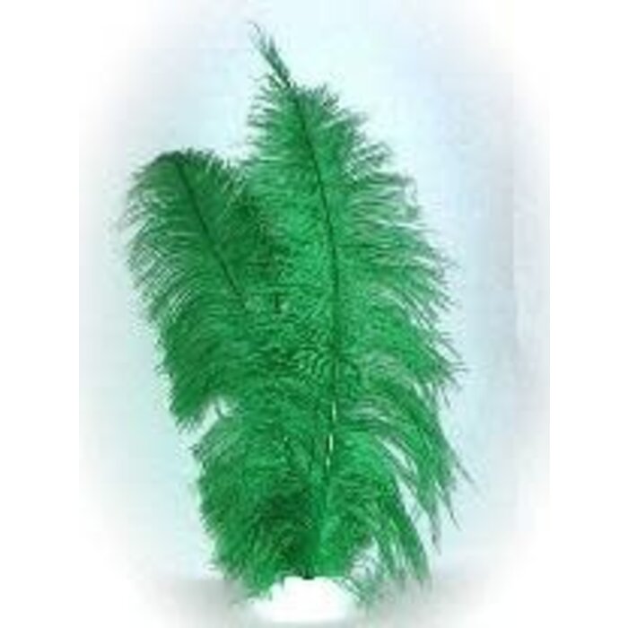 Veer struisvogel spadonis groen 50cm