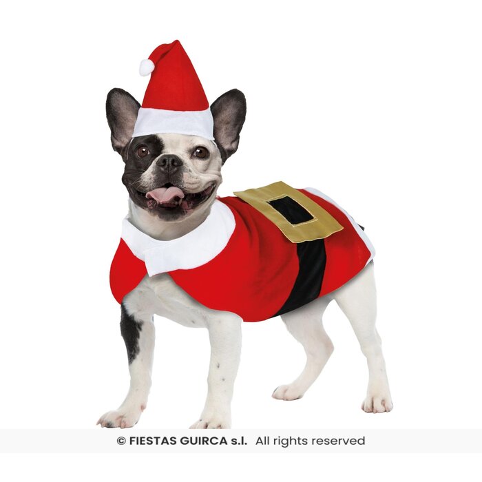 Feestshop.be Kerst kostuum hond