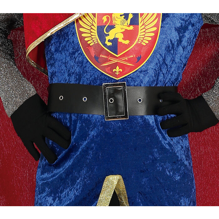 Koning ridder jongen