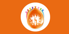 11 jaar