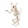 Skelet rat Cheddar 17 x 12 x 16cm