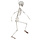 Skelet beweegbaar 91cm