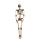 Halloween Skelet 160cm