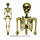 Skelet Halloween 160cm zwart goud