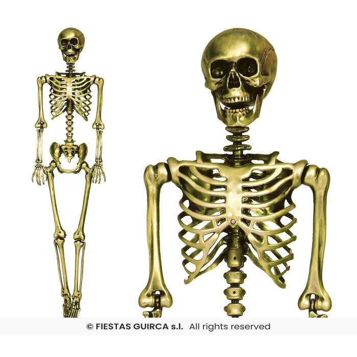 Feestshop.be Skelet Halloween 160cm zwart goud