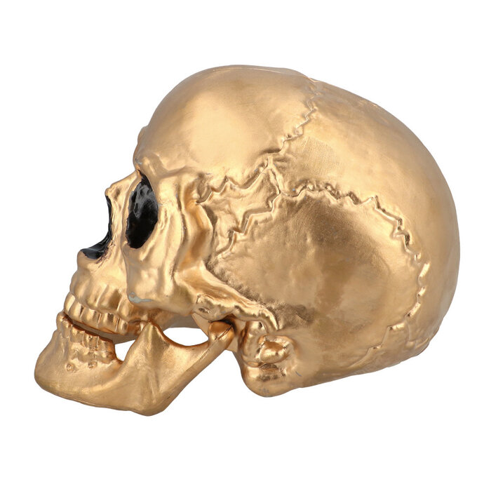 Boland Schedel met beweegbare kaak Halloween goud