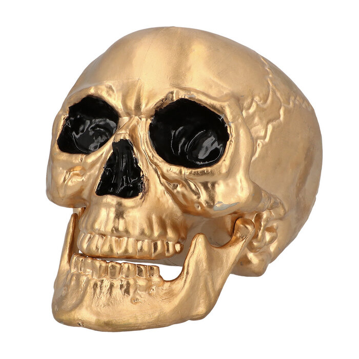 Boland Schedel met beweegbare kaak Halloween goud