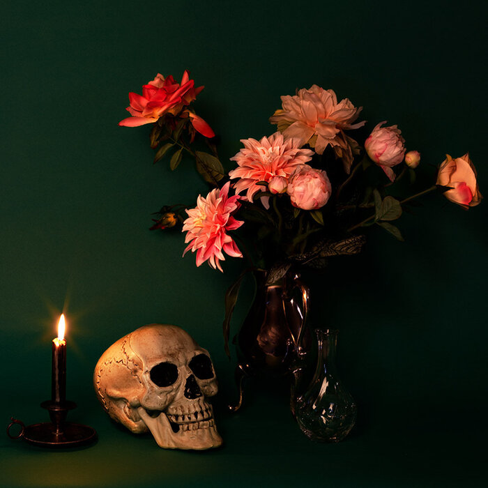 Boland Schedel met beweegbare kaak wit