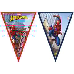 Vlaggenlijn FSC Spider-Man - 2,3 meter