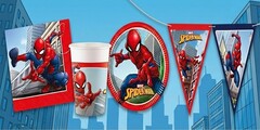 Spider-Man Feestversiering