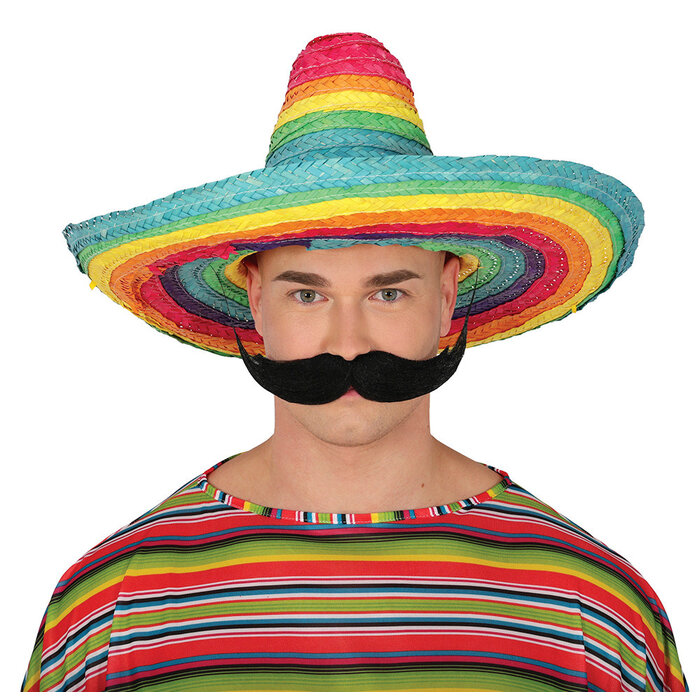 Sombrero Mexicaanse strohoed 50 cm regenboog