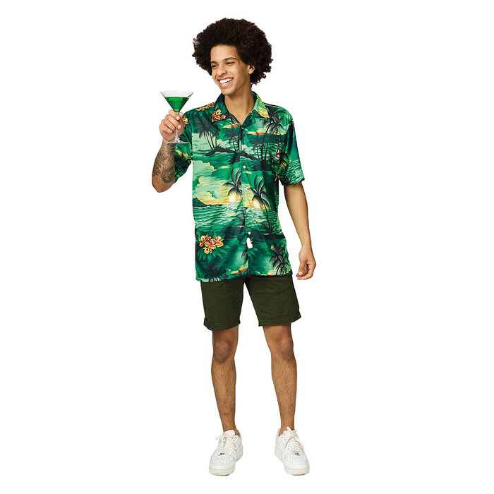 PartyLine Hemd hawaii groen