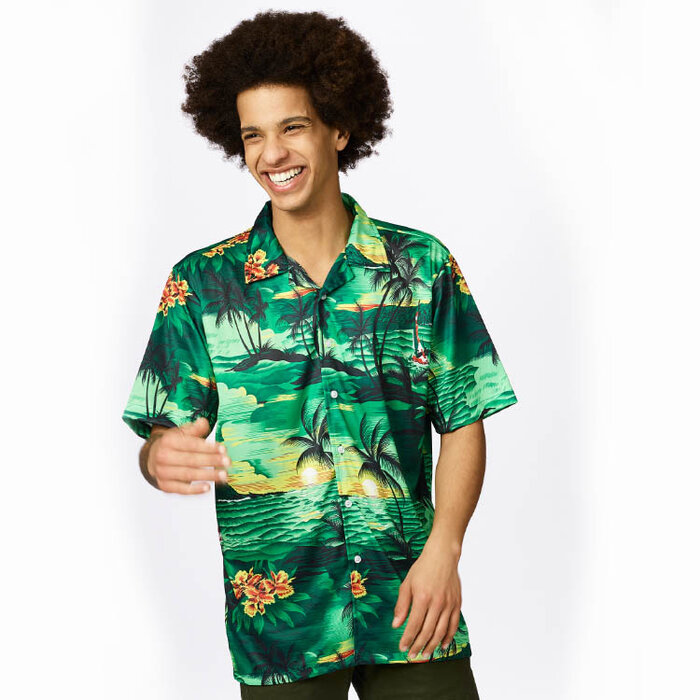 PartyLine Hemd hawaii groen