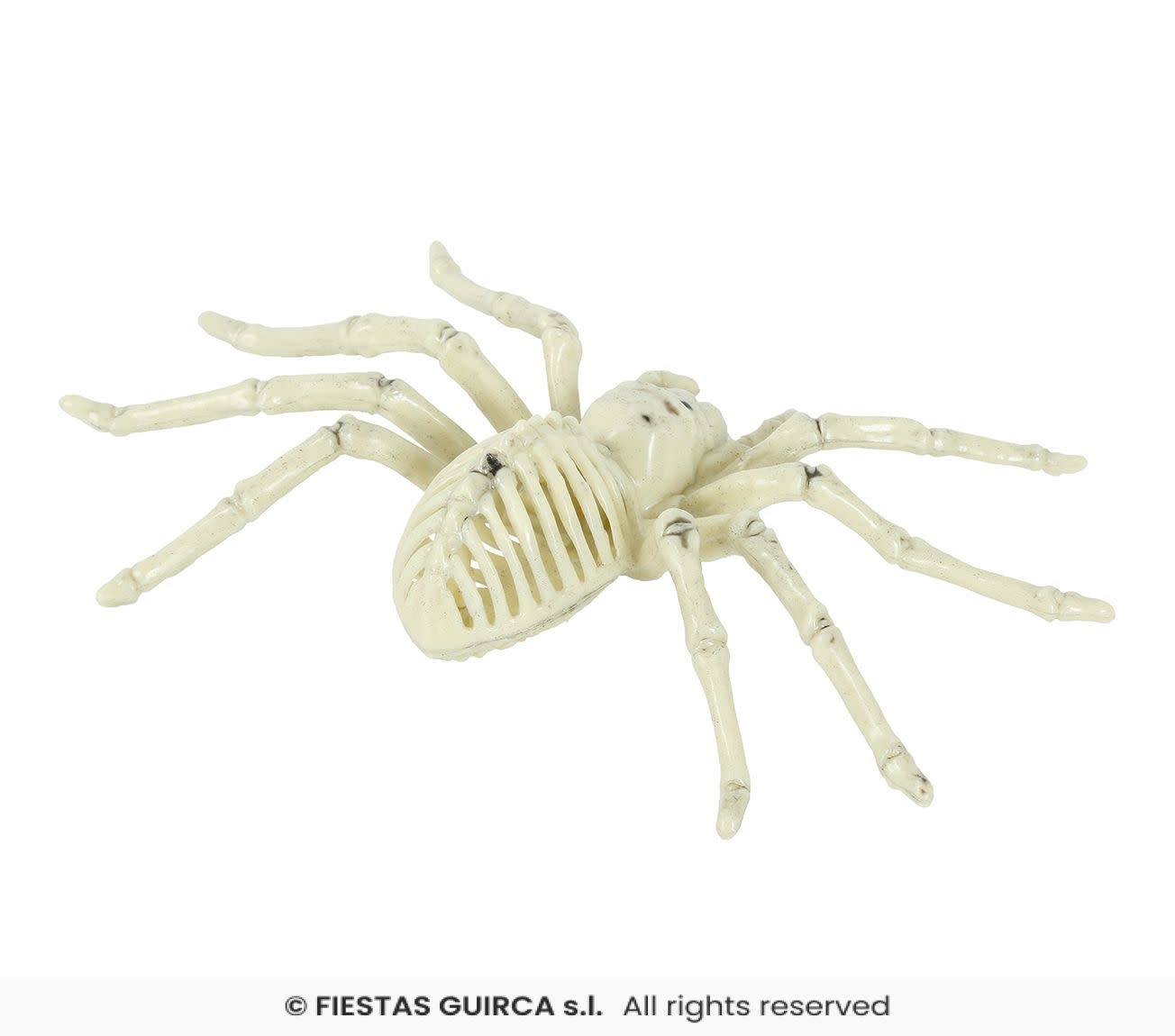 Spinnen skelet 24 cm