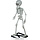 Skelet staand 55 cm