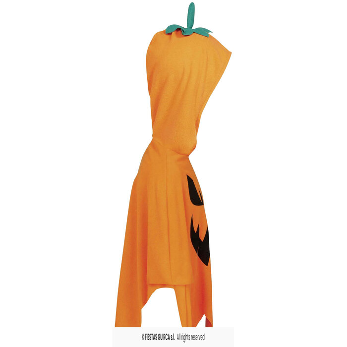 Pompoen poncho  kinderen