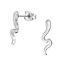 Chirurgisch roestvrij staal oorbellen: Zilverkleurige slang