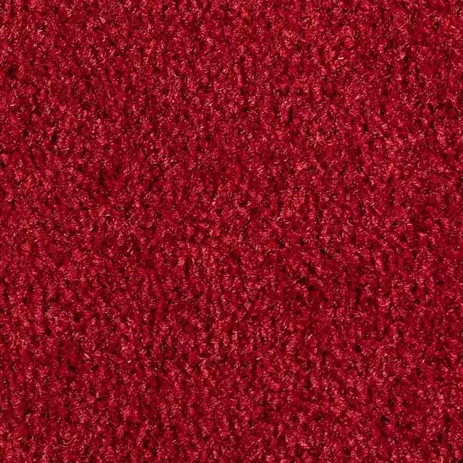 Emco Schoonloopmat Rood incl. vinyl rand