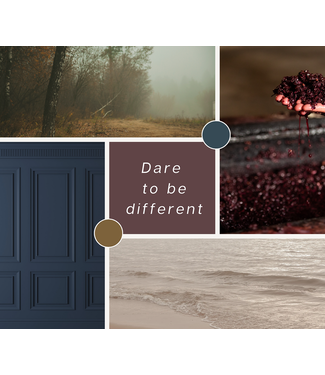 Het Interieurlab Interieuradvies Dare to be different