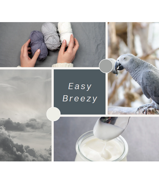Het Interieurlab Interieuradvies Easy Breezy