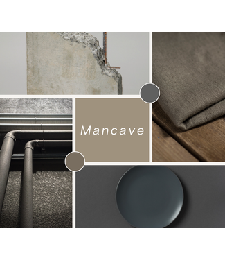 Het Interieurlab Interieuradvies Mancave