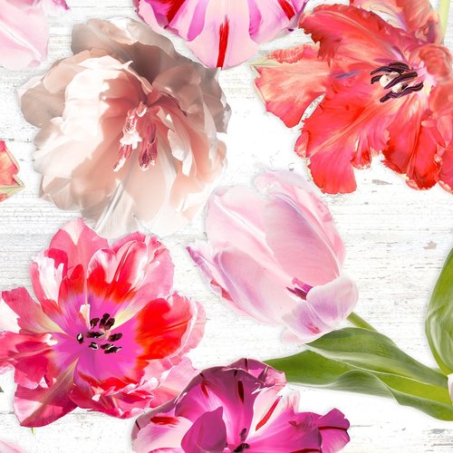Tafelzeil Tulpen