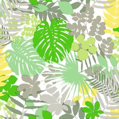 Toile cirée Philo vert