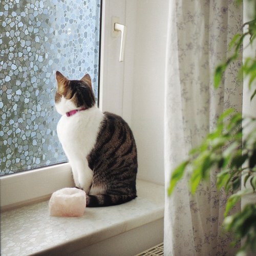 Film pour fenêtre statique-anti-vue-GLC-1084