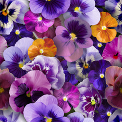 Tablecloth-Tablecloth Violin Love 140x250 cm