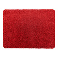 Fußmatte-Reinigungsmatte Washclean 40x60cm rot