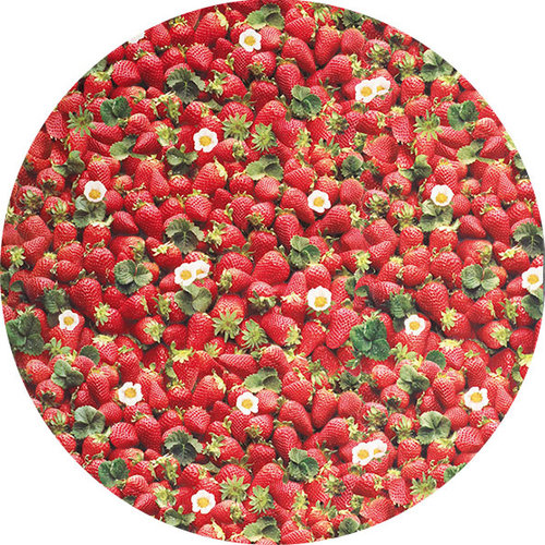 Wachstuch rund 160cm Erdbeeren