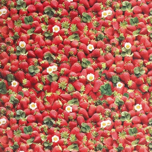 Wachstuch Erdbeeren 180cm breit
