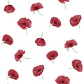 Oilcloth Poppies Red