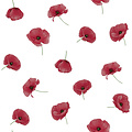 Toile cirée Poppies Rouge