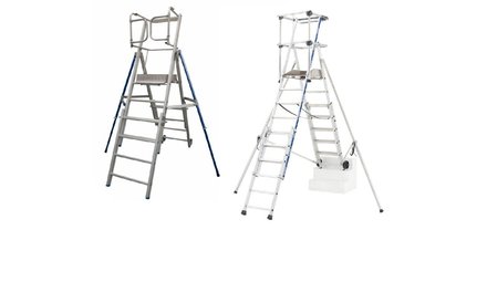 Telescopic platform ladder