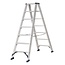 Das Ladders Das Hercules ano dubbele trap 2x7 treden DT7A