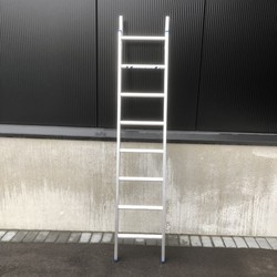 Facade scaffolding  ladder with hooks