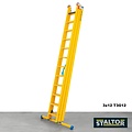Staltor Staltor kunststof ladder 3x10 sporten T3G10