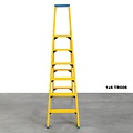 Staltor Staltor kunststof trapladder 12 treden TRG12