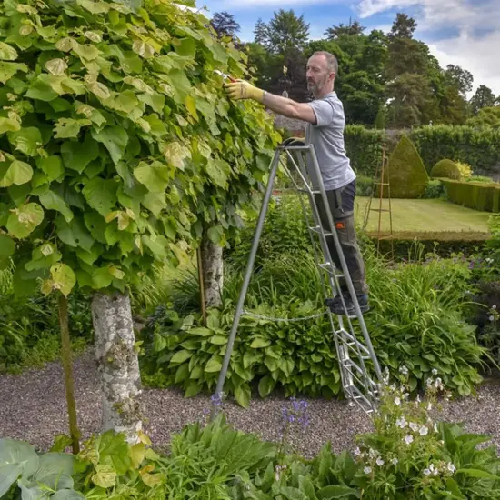 Hendon tripod ladders Vultur tripod ladder 240 cm with 3 adjustable legs