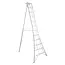 Hendon Vultur driepuntsladder 360 cm met 1 verstelbaar been