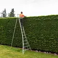 Hendon tripod ladders Vultur échelle trépied 420 cm avec 1 pied réglable