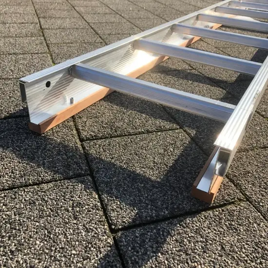 Solide Échelle de toit Solide 3 m DL12