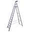 ASC ASC step ladder 11 tread BT-11